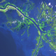 The tattered mouth of the Mississippi River, via NASA Earth Observatory